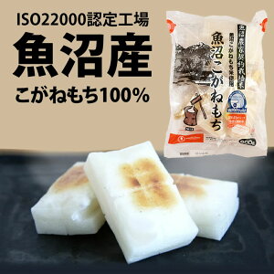 ߘa7NxY V ؂ Y ˂ ȂtB  1pbN600ginjۑH ܖ퉷@2N@z_YuhyV فz