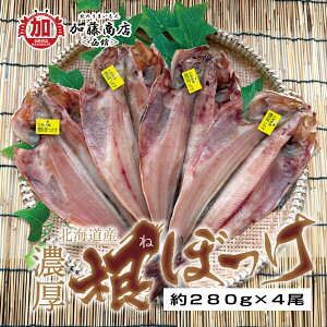 kCY Z Jڂ銱 280`300g×4ySzⓀ ˂ڂ ^ق Ă |Ղ W[V[