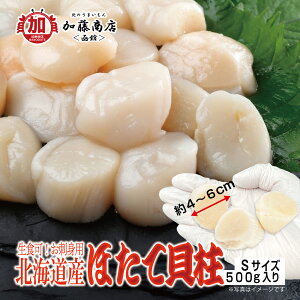 kCY HpقĊL STCY 500gySzⓀ hg jG \e[ tC Jpb` o^[ݖ