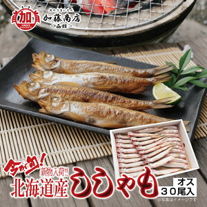 今が旬!新物入荷!! 北海道産 ししゃも オス 30尾入【全国送料無料】<冷凍> 柳葉魚 本シシャモ 高級品
