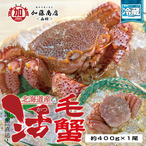 ق璼IkCY VN ъI 400g×1ySz① VN Z JjX уKj т I hg H