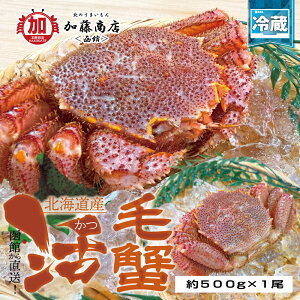 ق璼IkCY VN ъI 500g×1ySz① VN Z JjX уKj т I hg H