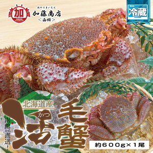 ق璼IkCY VN ъI 600g×1ySz① VN Z JjX уKj т I hg H