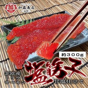gEgT[؎q() Éd 300g ySzⓀ  ̌