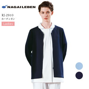 fB[XJ[fBK  iKC[x RJ-2910 p ×p   t hN^[ a@ NjbN Ȉ  z h d NAGAILEBEN