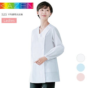 Vܒ  J[ 525-30 525-31 525-33 KAZEN fB[X p z  ~[  aH i B   HX  u[ sN 