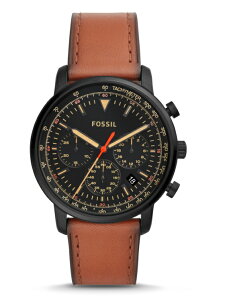 ~^[nfUCFOSSIL tHbV GOODWIN NH[cENmOtEfUCEHb` K㗝Xi YEHb`