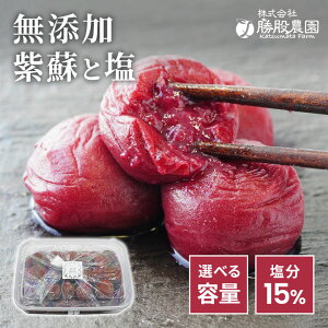 ytzY hƉ݂̂ŒЂIB썂~ 2kg 1kg 250g 15% Y ~ h hƉ h  Y VR ~ VR ON h  h ~ ~ 