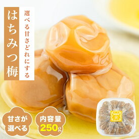 【月間優良ショップ受賞店舗】紀州産 はちみつ梅 選べる塩分3% / 8% 250g 減塩 はちみつ梅 はちみつ梅干し 梅干し 昔ながら はちみつ梅 3% はちみつ梅 8% 国産 紀州南高梅 南高梅 大きい 和歌山県産 はちみつ【勝股農園】