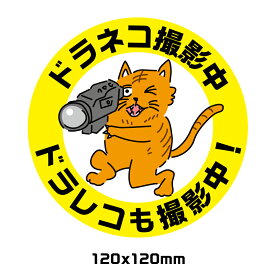 楽天市場 ドライブレコーダー どら猫 車用品 バイク用品 の通販 楽天市場 ドライブレコーダー どら猫 車用品 バイク用品 の通販