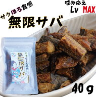 噛み応えLv MAX「無限サバ」40g 【定期購入初回限定30％オフ！】 無塩 無添加 調味料不使用 【月間優良シ…