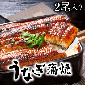 うなぎ蒲焼き2尾入り 合計430g～480g特大 鰻（蒲焼たれ4袋さんしょう付き）ウナギ かばやき 炭火 土用の丑の日 贈り物 ギフト プレゼント 中国産