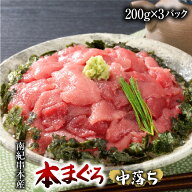 本まぐろ中落ち 200g×3パック マグロ 鮪 本鮪 海鮮 なかおち 贈り物 ギフト 人気 600g 簡単調理 丼ぶり …