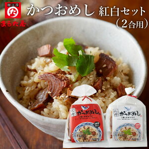 ߂2p gZbg Mtg 蕨   Ԃ  