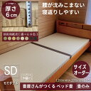 ベッド畳 サイズオーダー 畳 たたみ シングル セミダブル ダブル ベッド 畳のみ 交換用 マットレス マット 置き畳 腰痛 背筋 成長期 こども 年配 介護 寝返りしやすい ねがえり 赤ちゃん 子供 おじいちゃん おばあちゃん 敬老の日 ベビー 寝不足 2段ベッド