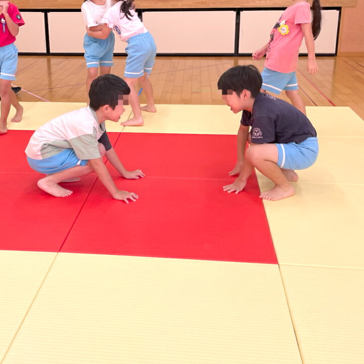楽天市場】柔道畳マット「技あり」 25枚セット 25枚 12畳半 柔道畳 