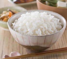 送料無料、大人気のお米です。令和5年産　新潟県産コシヒカリ　10kg