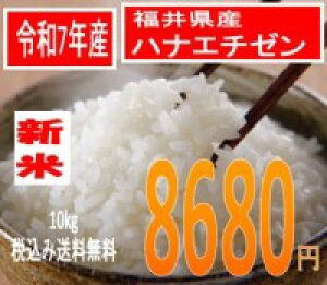 Aď̔lėߘa7NY@䌧YniG`[@10kgl̕đ܂őS