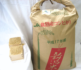 送料無料、体に優しい玄米食玄米令和5年産　魚沼コシヒカリ 10kg