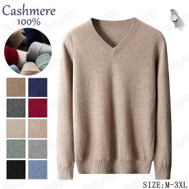 ＼スーパーSALE 10％OFF／カシミヤ セーター メンズ カシミヤ vネック セーター カシミヤ100％ メンズニット メンズセーター 厚手 暖かさ 保温 保湿性 柔らかい 軽量 大きいサイズ 冷房対策 無地 厚め 長袖 職場 事務服 通勤 通学 秋冬 大人気 専門店 高品質 nmy-48