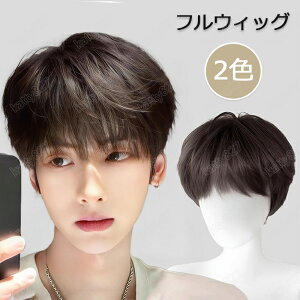 フルウィッグ メンズ ウィッグ ショート 黒髪 お父さん 普段使い 自然 ナチュラル 男性用かつら カツラ 医療用かつら ビジネス用 中高年男性 一体感のあるロングスタイル かつら 大量注文に