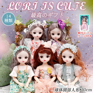 ̊֐ߐl` 30cm  hX Pl h[ {fB { m ֐ l` h[  Mtg{bNXt ߑt  23֐߉ V ܂܂ ւl` ւh