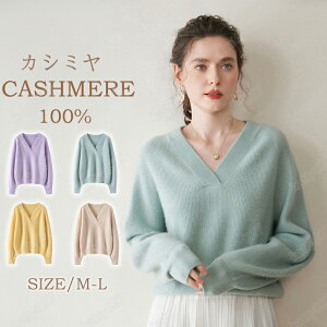 yыʃuVGETIzjbgxXg JV~ xXg fB[X Z[^[ VlbN JV~A100 jbg fBXjbg rWlX JWA XN[xXg 􂦂 ok g 