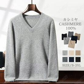 ＼スーパーSALE 10％OFF／カシミヤ セーター メンズ 390g vネック セーター カシミヤ100％ メンズニット メンズセーター 厚手 暖かさ 保温性 保湿性 柔らかい 軽量 弾力 敏感肌 大きいサイズ 冷房対策 無地 厚め 長袖 職場 事務服 通勤 通学 秋冬 大人気 専門店 高品質 955