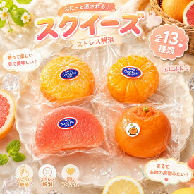 スクイーズ 水感 13種類 ストレス解消 ぷにぷに触感 クイーズおもちゃ もちもち 癒し 減圧 握る スフレ オレンジ リアル ベーカリー ブレッド 低反発 触感いい 人気 可愛い 減圧グッズ ソフト感覚 弾力性抜群 食品グレードシリコン おしゃれ 子供 大人 男の子 女の子 大量