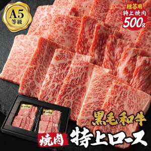 Mtgyјaネ[XēzōN A5N T[C u[X 500g ē Mtg  Mtg 񂹃O   Ε j  v[g j a