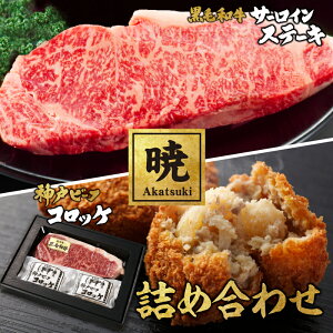 Mtgy-Akatsuki-zјaT[CXe[LƐ_˃r[tRbP̋lߍ킹 Xe[L r[tRbP 2 Mtg hV̓ Mtg 񂹃O   Ε 