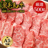 【特上高級霜降り焼肉】黒毛和牛・特上ロース 焼肉 500g・A5ランク 和牛 サーロイン リブロース プレゼン…