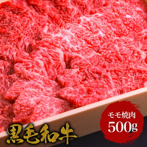 јa Eē 500gEԐg a    ē 񂹃O      Mtg 蕨 ̓  Ε