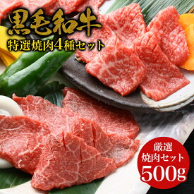 【父の日 ギフト】【焼肉4種の盛合わせ】黒毛和牛 ・特選焼肉 4種セット 500g・ 上ロース　上カルビ　カルビ　モモ 和牛 高級肉 お肉 お取り寄せ 焼肉セット BBQ お取り寄せグルメ 牛肉 美味しいもの ごちそう 誕生日 ギフト お祝い 内祝い お中元 お歳暮