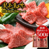 【焼肉4種の盛合わせ】黒毛和牛 ・特選焼肉 4種セット 500g・ ロース ハネシタ モモ カルビ 和牛 高級肉 …