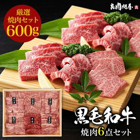 【特上焼肉6種盛合わせ】黒毛和牛 A4.A5ランク・焼肉 6種セット 600g ・サーロイン リブロース 肩ロース プレゼント ギフト 高級肉 お肉 お取り寄せ 焼肉セット BBQ 贈り物 父の日 お中元 御中元 お祝い 内祝い 誕生日 キャンプ飯
