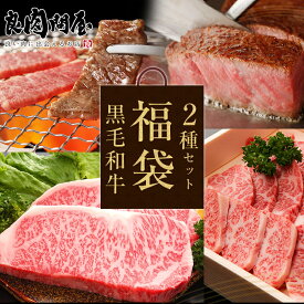 【黒毛和牛の 福袋 すき焼きと焼肉2点セット】肉福袋 スライス 上ロース 黒毛和牛 高級肉 お肉 高級 お取り寄せ 焼肉 お取り寄せグルメ 牛肉 プレゼント ギフト 贈り物 お祝い 誕生日プレゼント 父の日 お中元 お歳暮