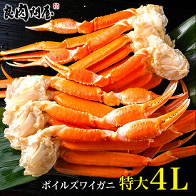 ボイルズワイガニ脚 2kg セクション 特大4Lサイズ (4肩〜7肩入り)専用化粧箱入り ずわい カニ かに ズワイ蟹 グルメ 鍋 蟹しゃぶ 海鮮 ギフト お歳暮