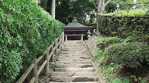 [i] @فEߐفi򒬍فj{̏@̃WI}͌^@vf@s͌^