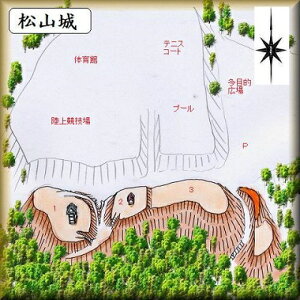 [i] RiuzusRV1568j{̏@̃WI}͌^@vf@s͌^