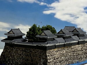 [i] @OiOs钬j{100@{̏@̃WI}͌^@vf@s͌^