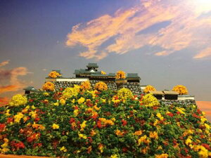 [�����i�n�������R��i�����s���R���j�@�P�[�X�t���@�~�j�T�C�Y�@���{100����@�����V�� �V��̏�@���{�̏�@����@�W�I���}�@�͌^�@�v�����f���@��s�͌^