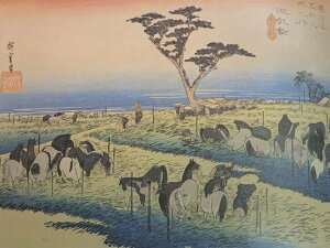 [inLd@C܏\O@40@r@(mms)@ۉiŁ@P[Xt@~j18TCY@G@WI}