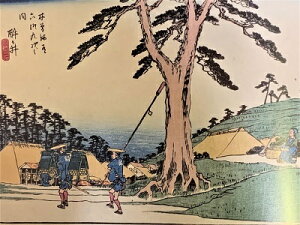 [WI}inLdEp@ؑ]X(哹)ZE㎟@62@@(ꌧČs)@P[Xt@~j18TCY@G@WI}