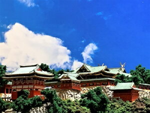 [in v\RƋ{@{aE @P[Xt@~j24TCY@@WI}@͌^@vf@ {̓`