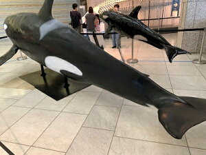 ǂԂ̐X@V`^NWE~@WI}iD݂̎ނkWI}Ō쐶̐ERNVP[X@180×180×186mm