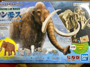 ǂԂ̐X@Ŏ@}X@WI}iWI}Ō쐶̐ERNVP[X@240×240×268mm