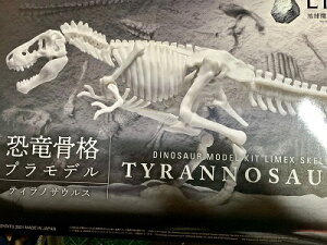 ǂԂ̐X@Ŏ@eBmTEX@iW{iiW{Ō鑾Â̐ERNVP[X@240×240×268mm