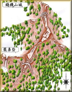 [i] @ˋ@RiÉsEďj@@{̏@̃WI}͌^@vf@s͌^