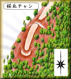 [完成品] 　桜丘チャシ（厚真町桜丘73-1）日本の城　お城のジオラマ模型　プラモデル　城郭模型